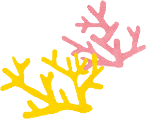 サンゴのイラスト